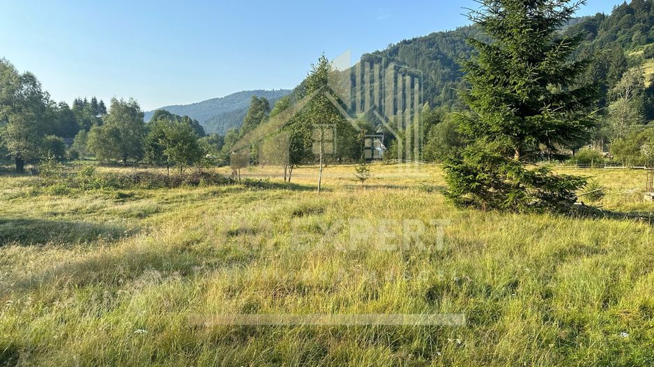 TEREN INTRAVILAN 500 MP SĂTIC- RUCĂR - Poză 2