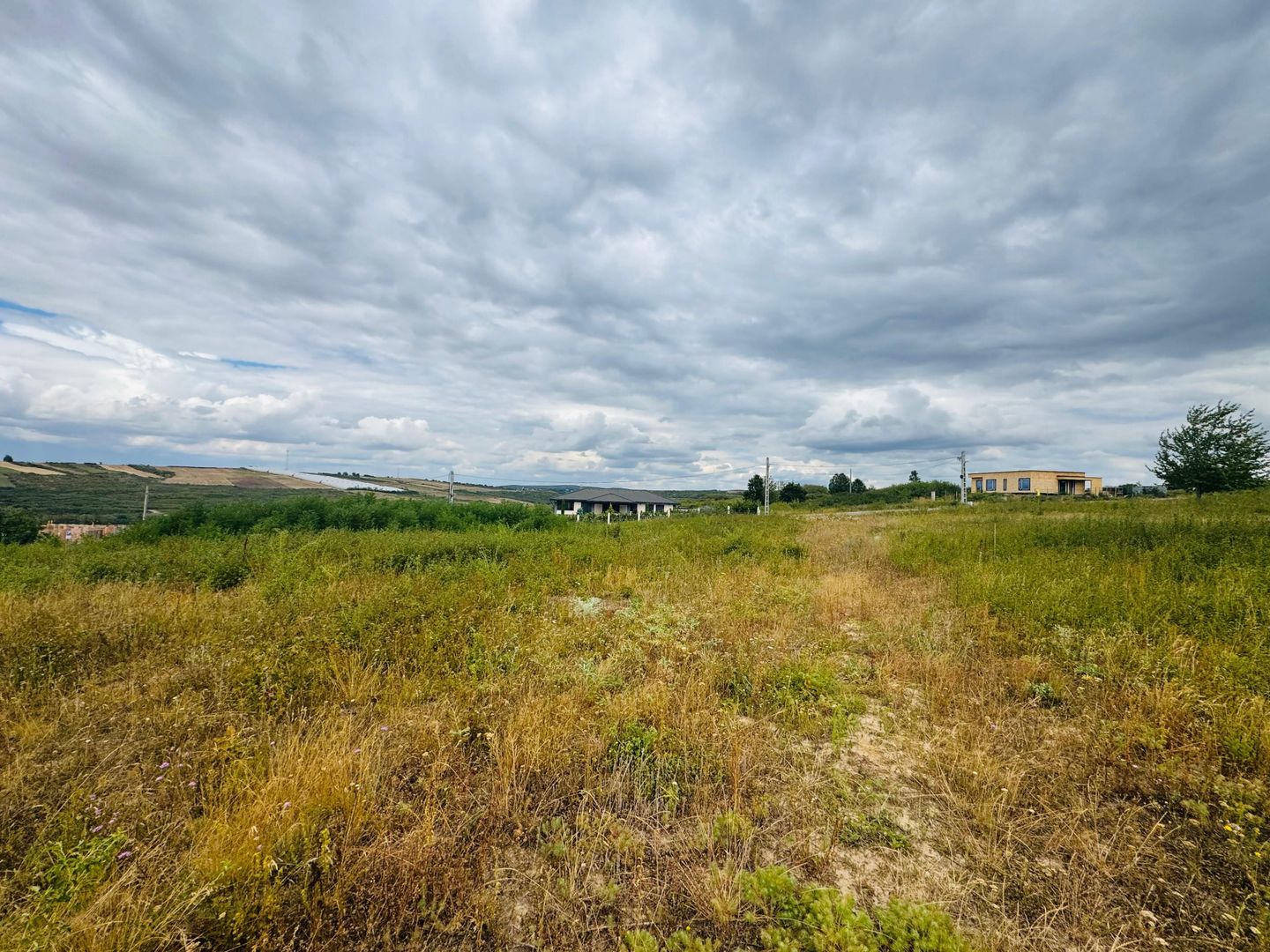 Parcele teren intravilan Paleu - Poză 2