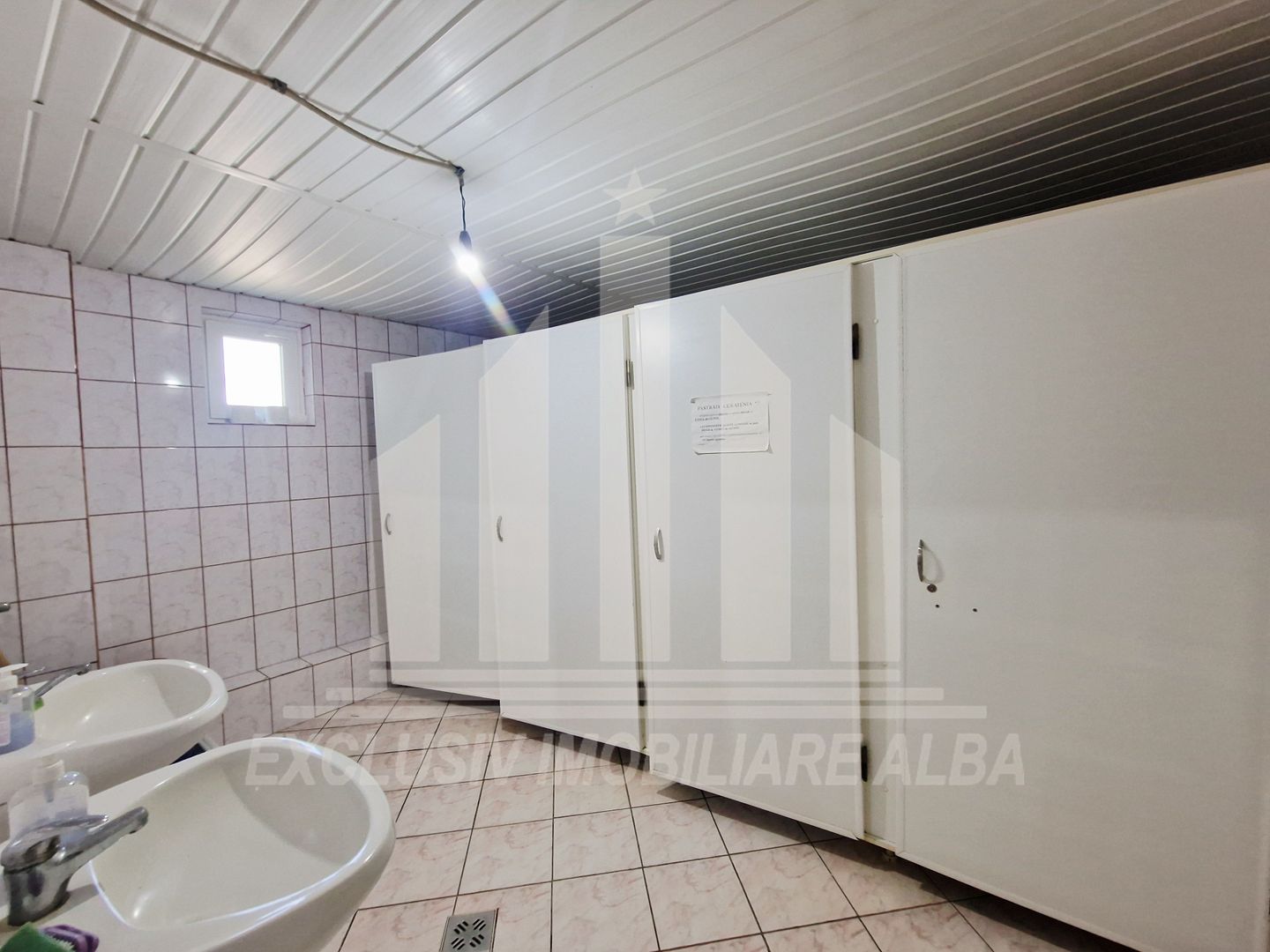 Spatiu industrial de inchiriat in Sebes - Poză 9