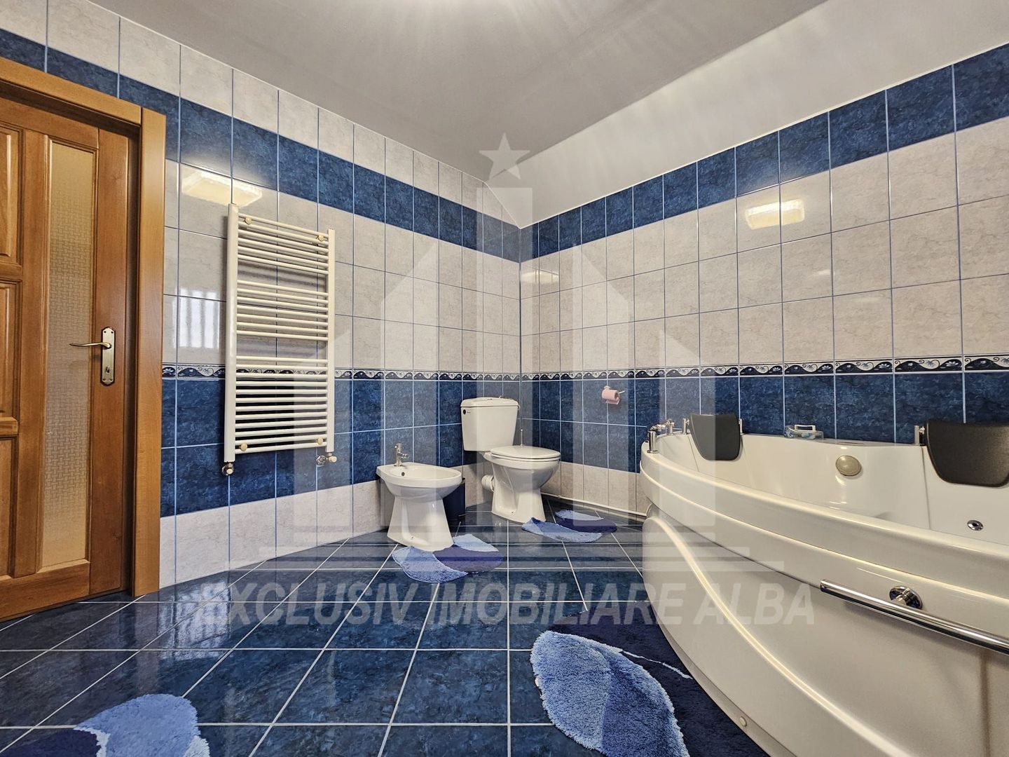 Casa individuala de inchiriat cu garaj, Alba-Micesti - Poză 13