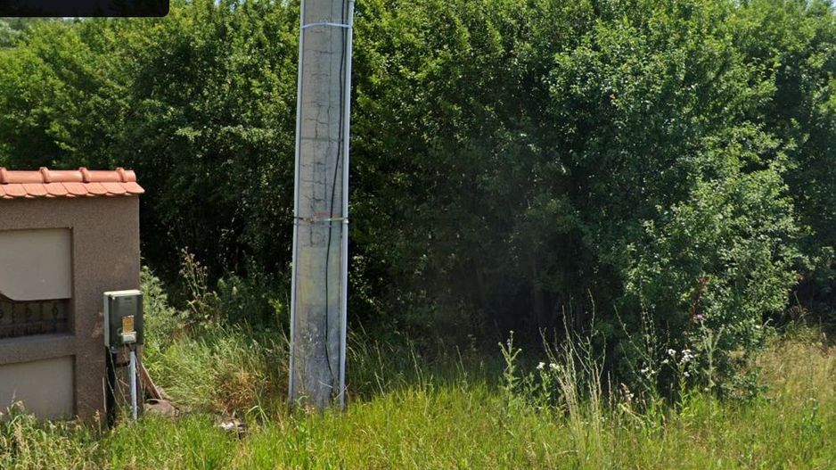 Teren langa padure intravilan Snagov - Ciofliceni - Poză 2