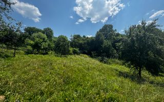 TEREN INTRAVILAN 2146 MP, ALBESTII DE MUSCEL, ARGES - Poză 2