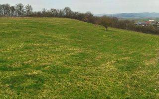 4 Loturi diferite-ideal cabane/investitii-Beclean 1 km de Baile Figa - Poză 3