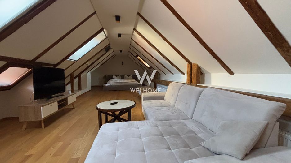 Motel DE LUX in CentruL Sibiului - Poză 13