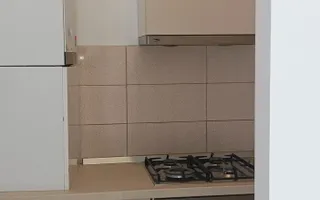 Apartament 2 camere elegant | Spatios | Herastrau - Poză 11