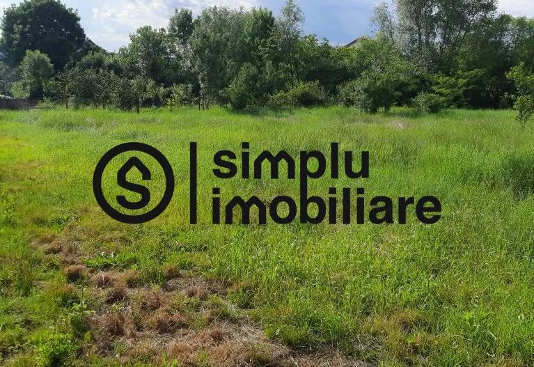 Teren intravilan, Isalnita - Poză 1