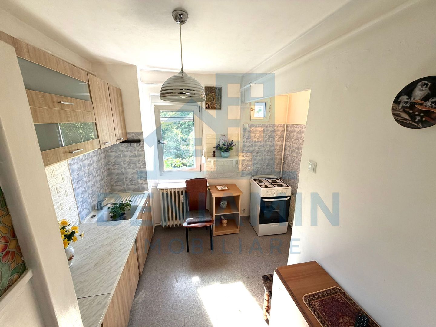 2 camere semidecomandat Brazda lui Novac - Pedagogic -teava -52mp - Poză 5