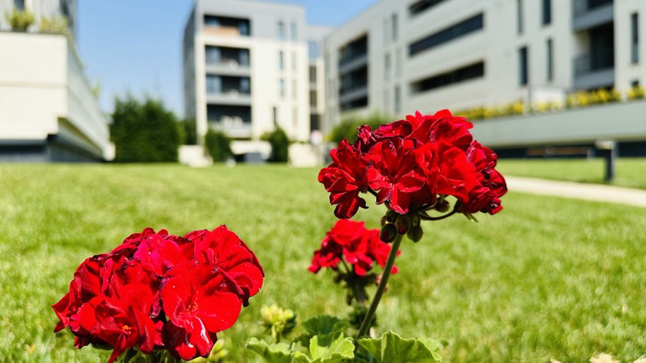 Oferta rezervata | 2 camere,  57 mp | Parcare Subterana & Terasa - Poză 28