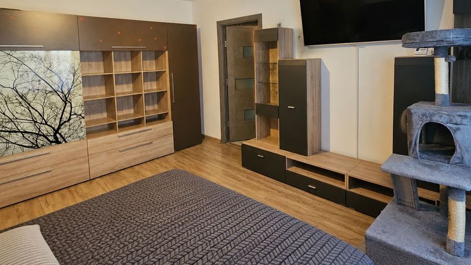 Apartament 2 camere- Rovine - Poză 2
