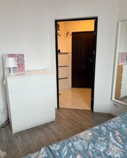 Apartament 2 camere + curte proprie, zona Viilor / Parcul Carol - Poză 3