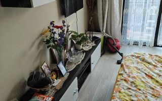 Apartament 1 camera Giroc parter cu terasa - Poză 2