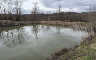 Pescărie cu teren intravilan | Drăgești | Bihor - Poză 3