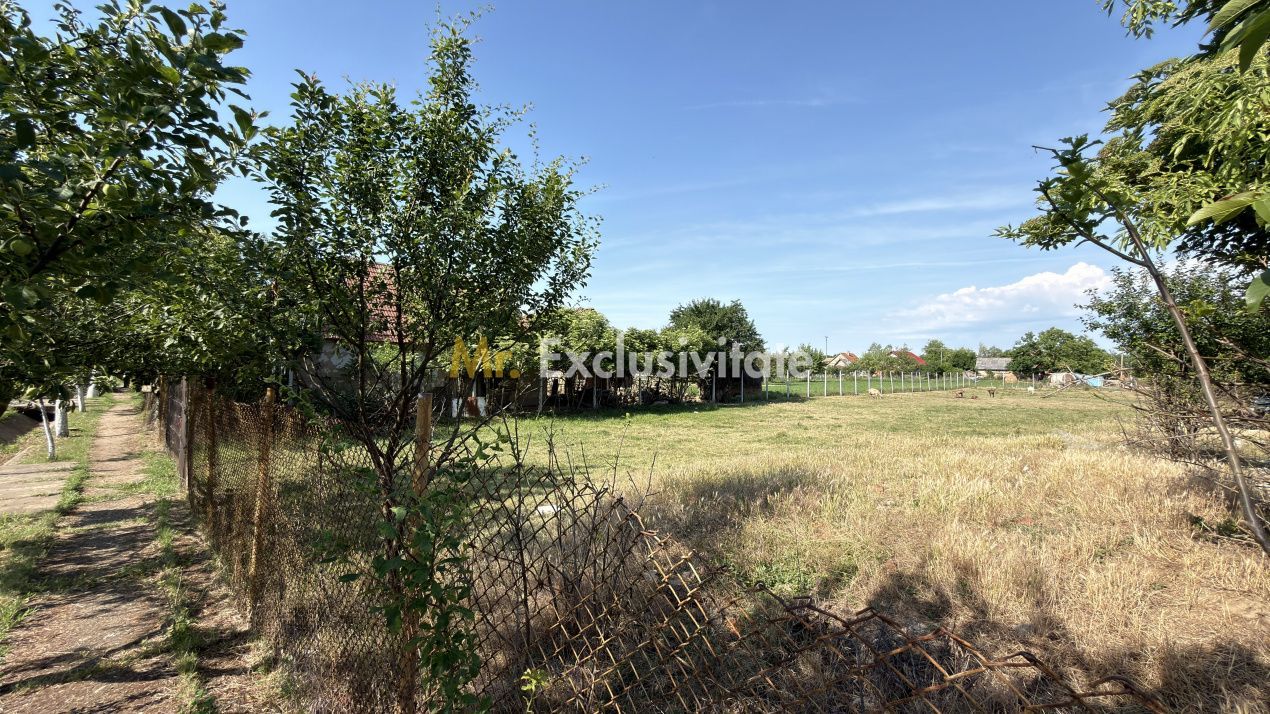Teren Intravilan 1404 mp, Front 17 m Loc. Lucăceni SM -Str. Horea- Comision 0% - Poză 3