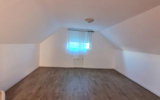 Casa cu teren de 14340 mp în Jebel/Pretabila pentru afacere - Poză 47