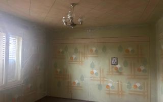 Casa plus teren de vânzare în Balinț,comision ,,0'' - Poză 20