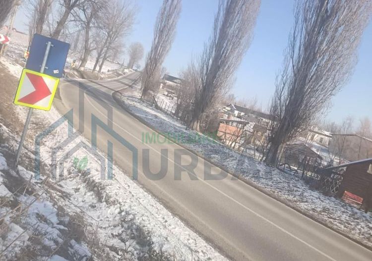 Teren intravilan și extravilan de 10.000 mp în Voinesti, Iași - Poză 3