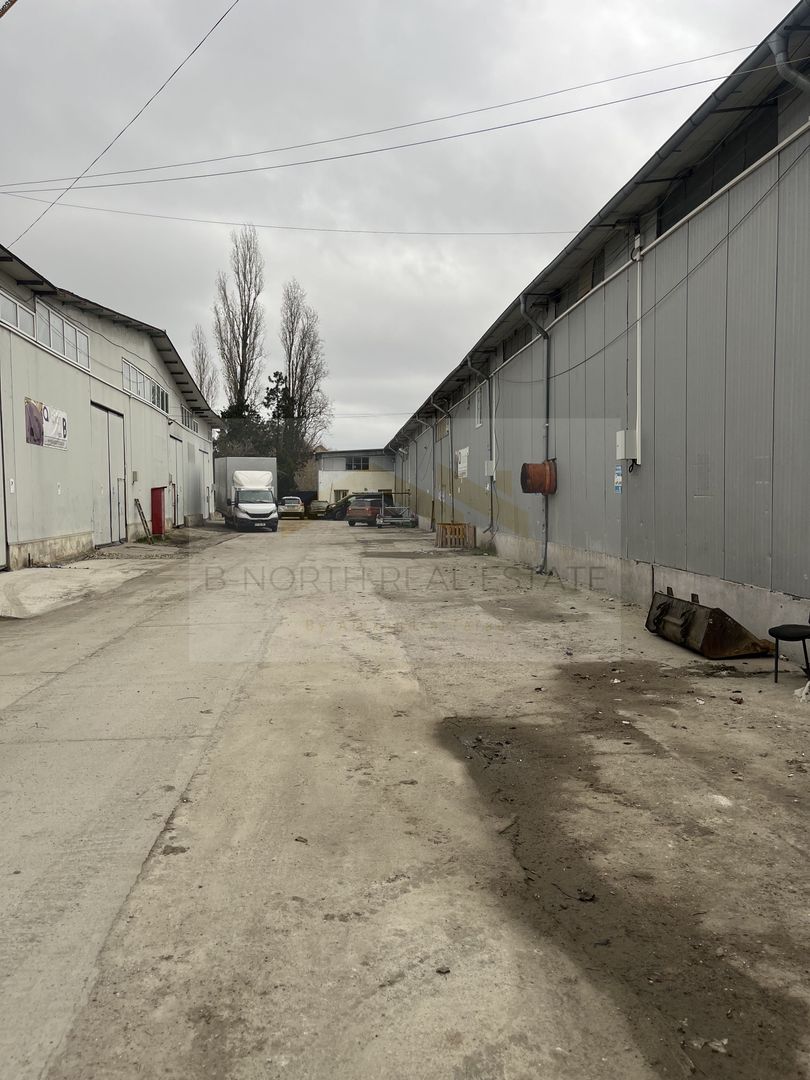 Hala de inchiriat - Poză 10