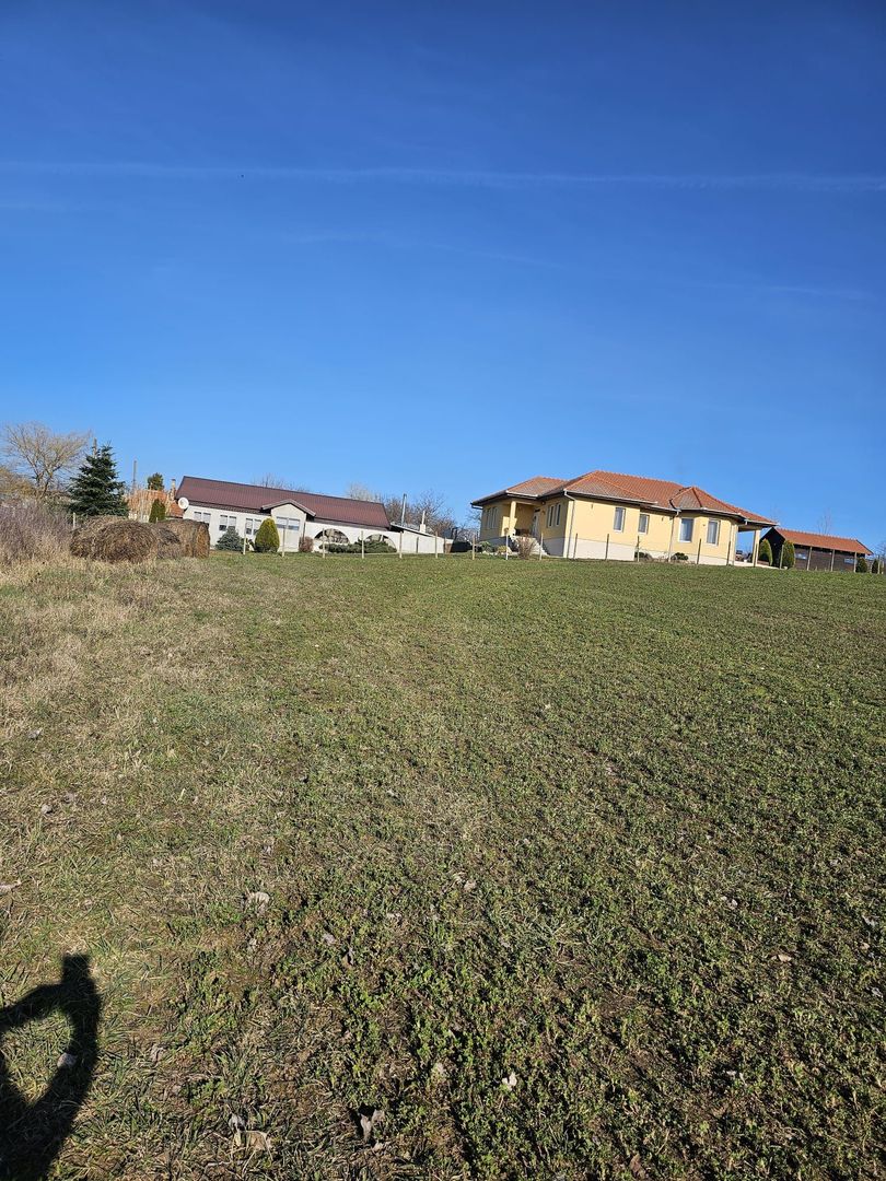 Teren intravilan Cetariu 1500 mp - Poză 3