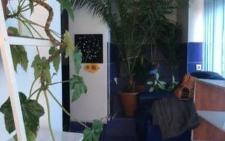 Apartament 2 Camere B-dul Victor Babeș - Poză 3