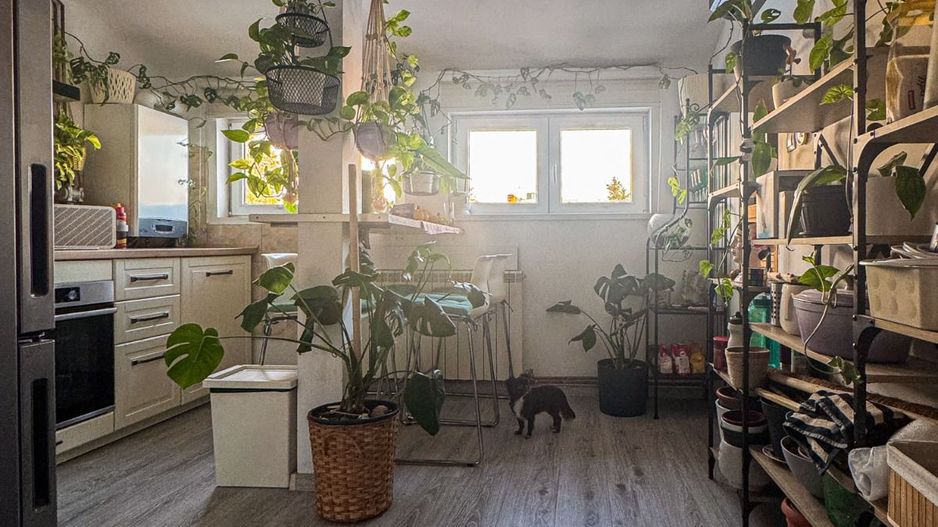 Apartament 2 camere - Domenii, etaj 2/2, centrala noua, curte, boxă, pod. - Poză 6