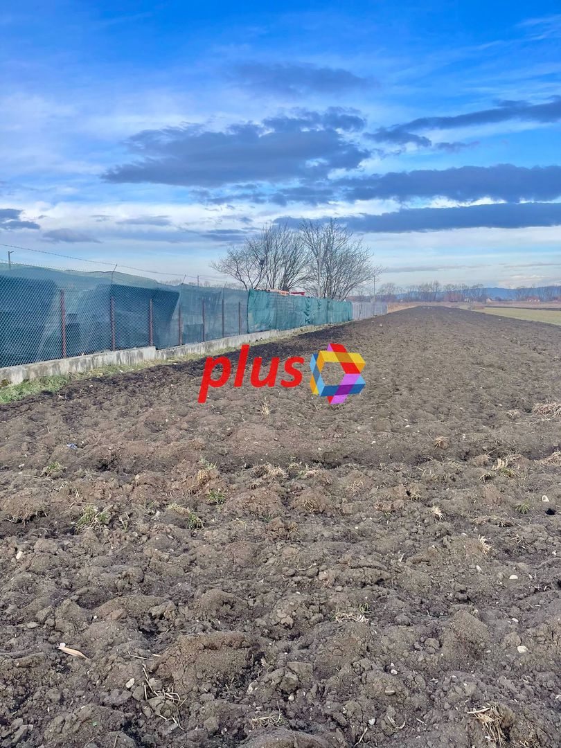 Teren in Stupini 14400mp - Poză 3