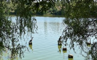 Laguna Residence I Apartament 3 camere Floreasca I parcare I Com 0% - Poză 6