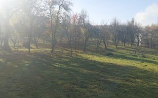 TEREN INTRAVILAN 3000 MP, CAMPULUNG - Poză 6