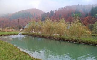 Proprietate cu potențial turistic în zona montană a Țării Lăpușului - Poză 4