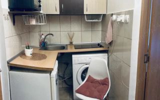 Garsoniera zona Buziasului - Poză 3