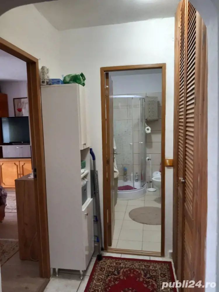 BRASADAS vinde ap 3 cam etaj 2/4 Carpati 2. - Poză 8