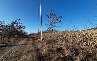 Oportunitate investitie! Teren extravilan Valea Fanatelor, 1ha - Poză 2