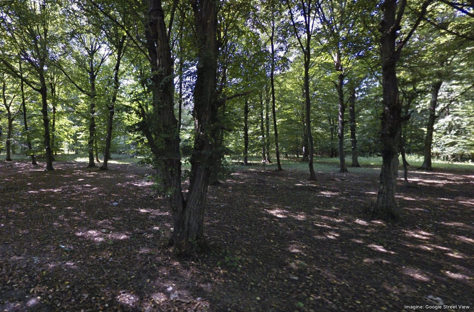 Teren de 500 mp, la marginea Pădurii Snagov - Poză 4