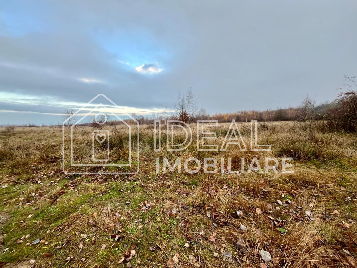 Teren extravilan 6.500 mp – Cârțișoara | Comision 0% - Poză 5