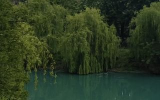 Teren cu lac | 9.000 mp | Oportunitate Investitionala - Poză 3