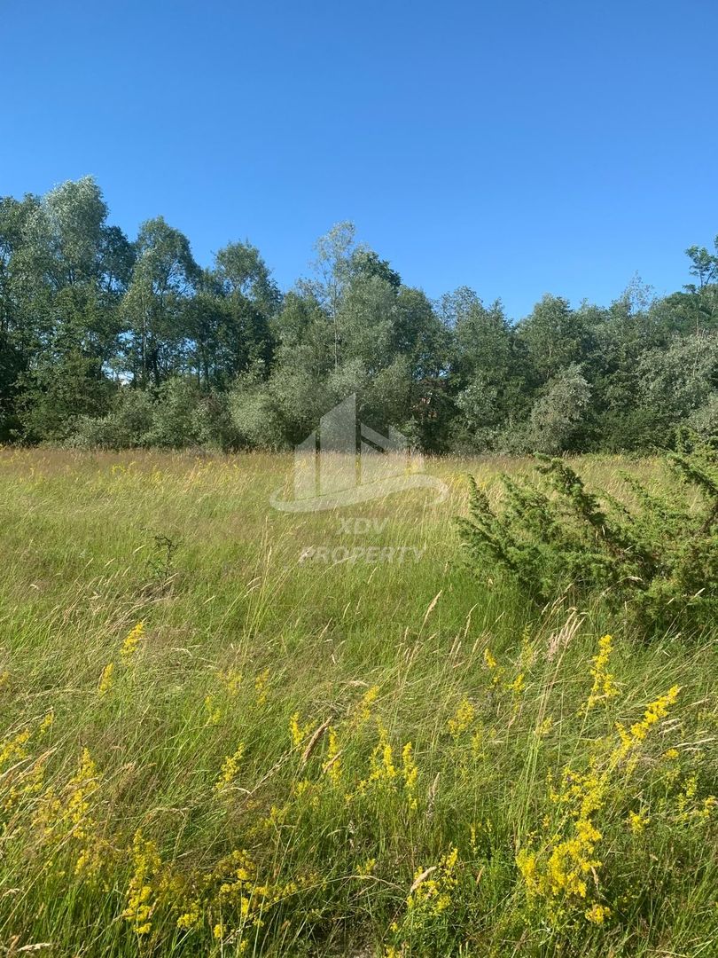 Teren in zona turistica Porumbacu de Sus - Poză 1