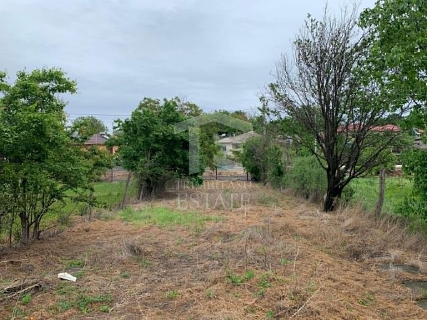 Teren intravilan 2562mp Loc 23 August | Ideal locuiță sau casă vacanță - Poză 3