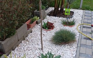 Comision 0% Duplex – Dumbrăvița 94 mp utili | teren 300 mp | - Poză 4