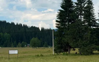 PARCELE DE VÂNZARE, pe malul râului BÂSCA, COMANDAU, COVASNA - Poză 11