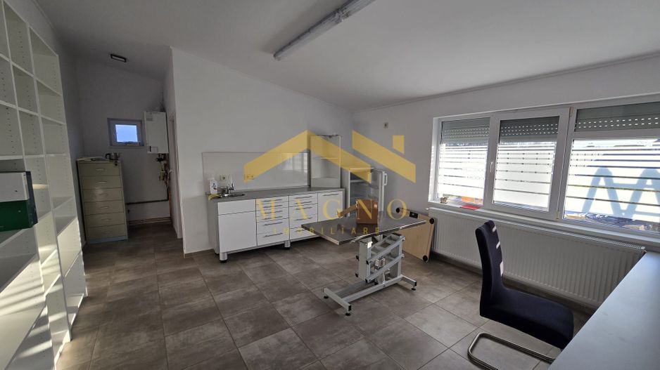 Casa de inchiriat in Vladimirescu (pretabil pentru Birou,Cabinet etc.) - Poză 20