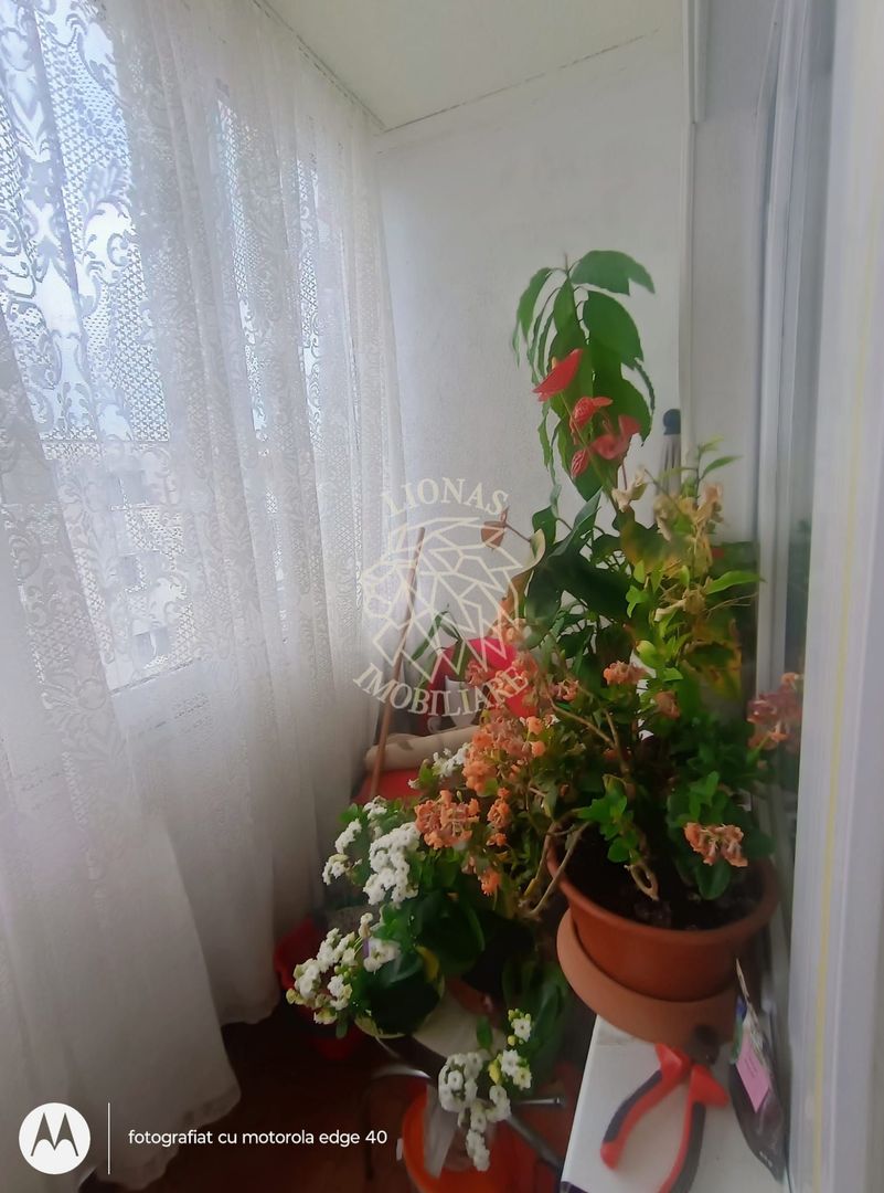 Apartament doua camere Gherla central strada Mesteacanului - Poză 5