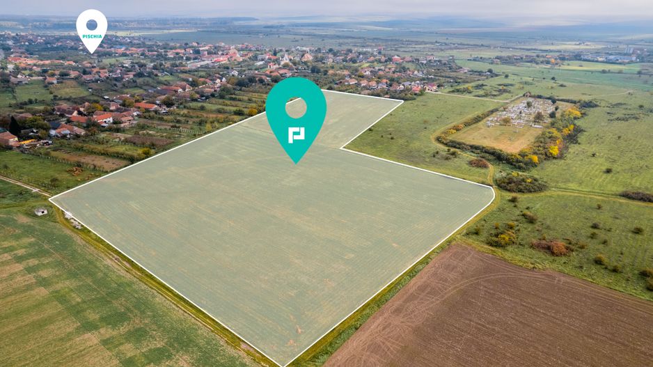 Teren de 50.000mp în Pișchia - Poză 1