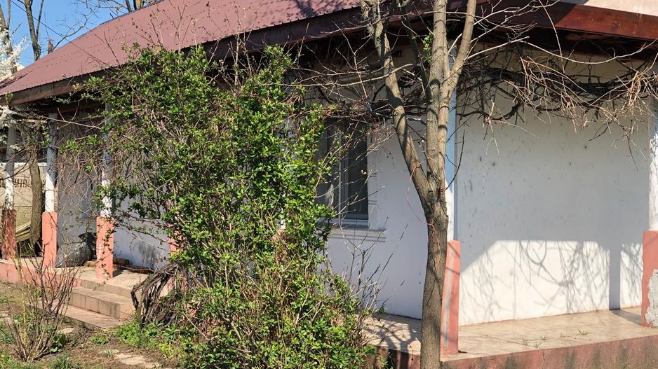 Casa 3 camere Parter Giurgiu Com Bucsani - Poză 4