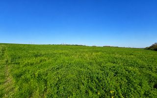Teren agricol de 40 ari în Ghidighici – oportunitate pentru investiție sau activitate agricolă - Poză 1