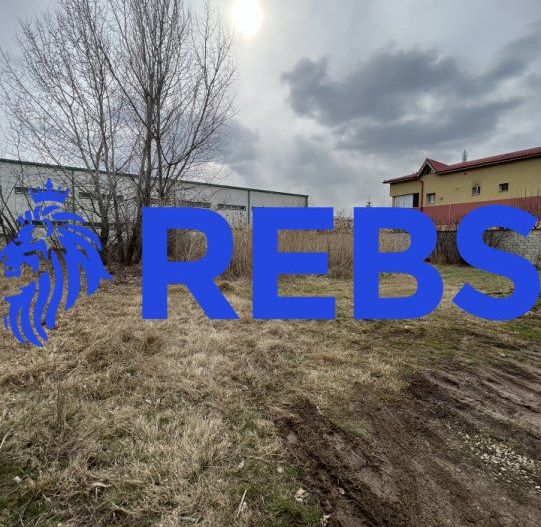 Teren 1000 metri Pantrelimon | Selgros | Rascoalei - Poză 3
