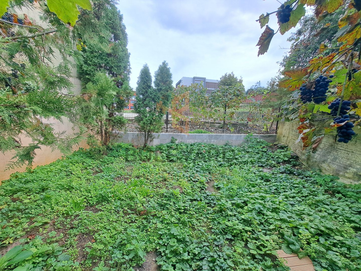 Casa 3 dormitoare, curte 60mp, parcare, langa UMF! - Poză 19