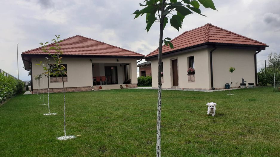 Locuinta individula cu garaj - Poză 2