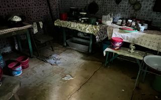 Două case cu teren de 36.291 mp, în Dealul Mic - Poză 8