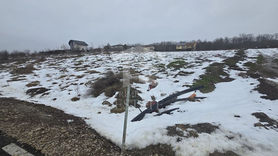 Branesti Vadul Anei LOTURI 800mp acces LAC asfalt padure utilitati - Poză 5