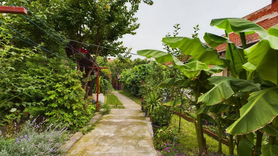 Apartament  2 camere la curte comună - Poză 1