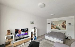 Garsoniera | 38 MPU | Turnisor | Loc de parcare - Poză 8